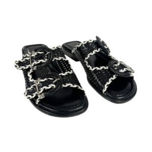 Alternative view of Pons Quintana Tina